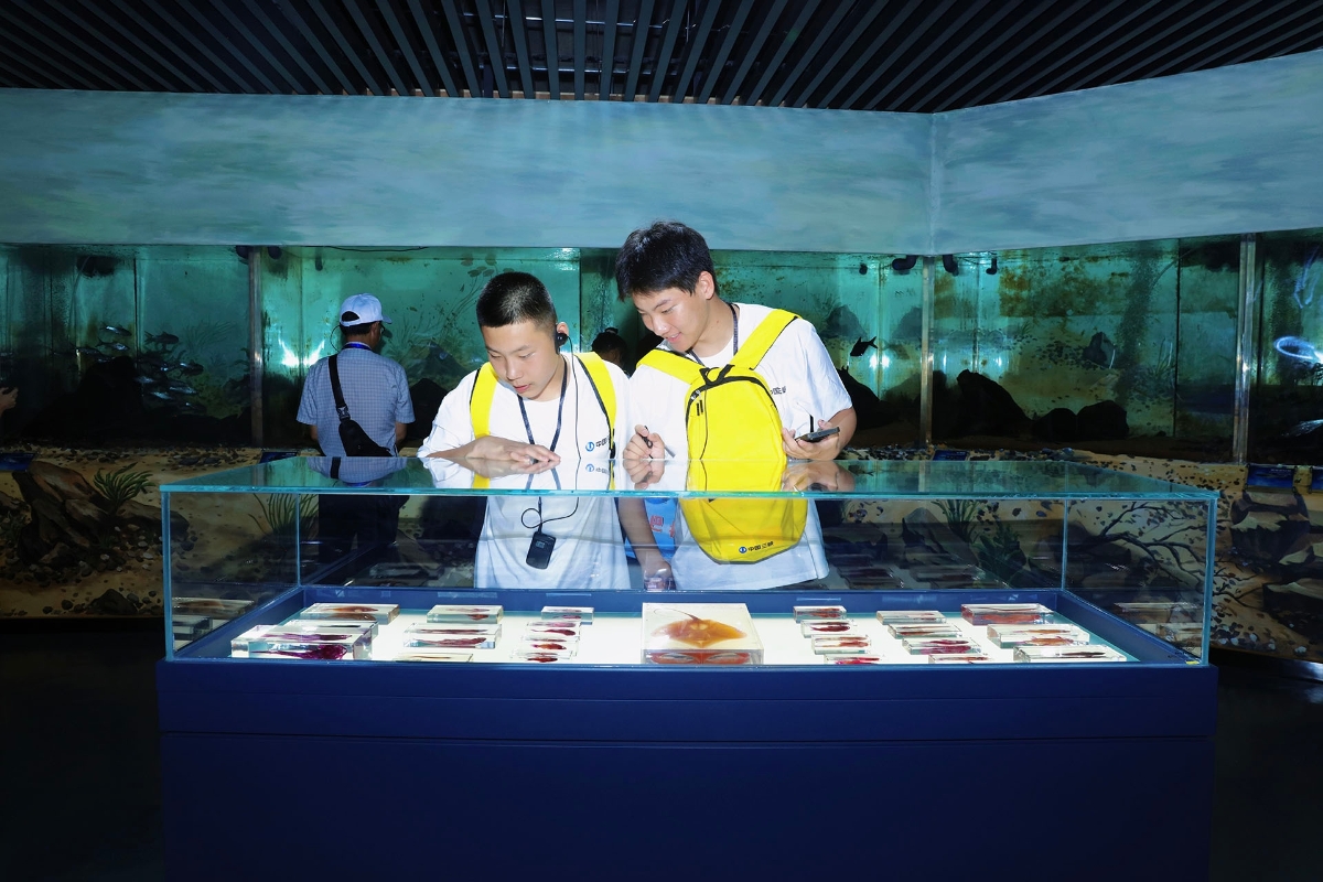 2025年娃娃行活動掠影圖片（3）